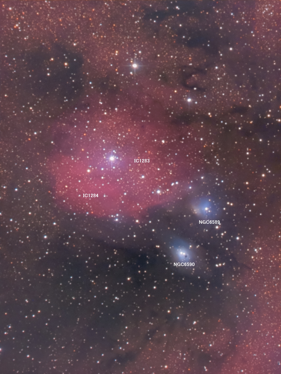 IC1284_name