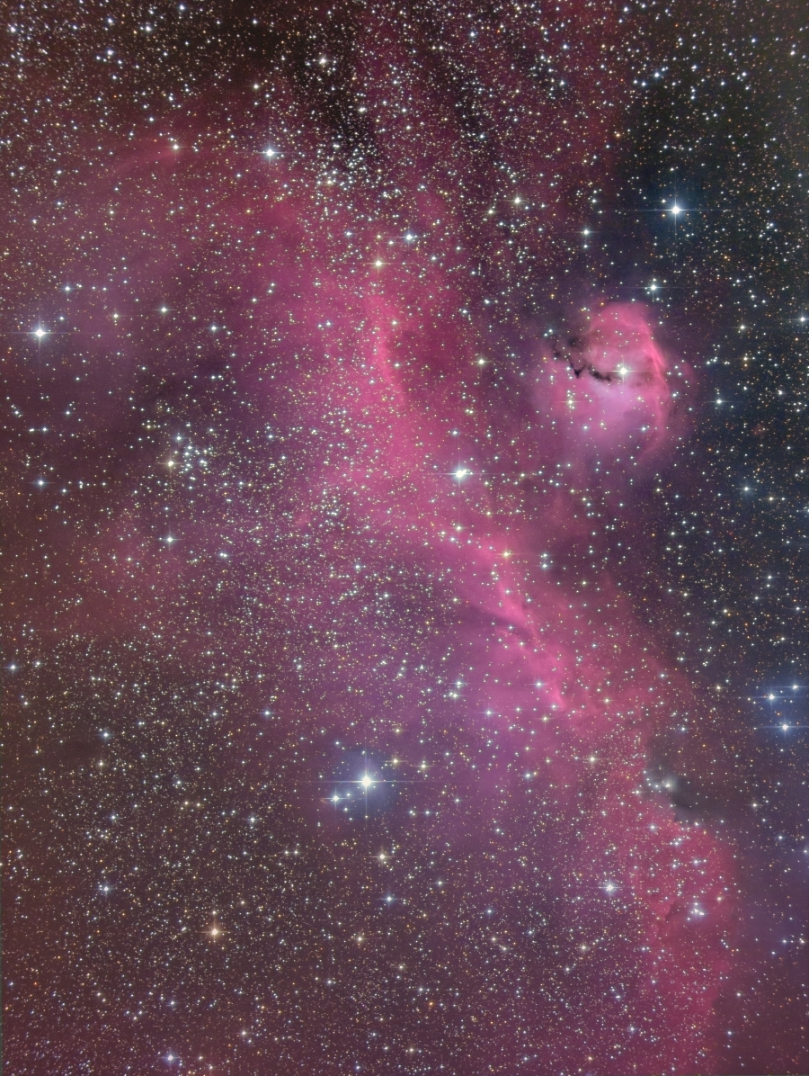 IC2177 �����ߐ��_