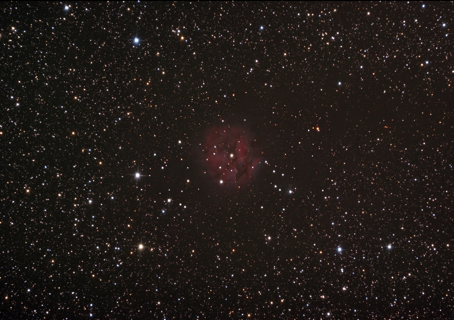 IC5146