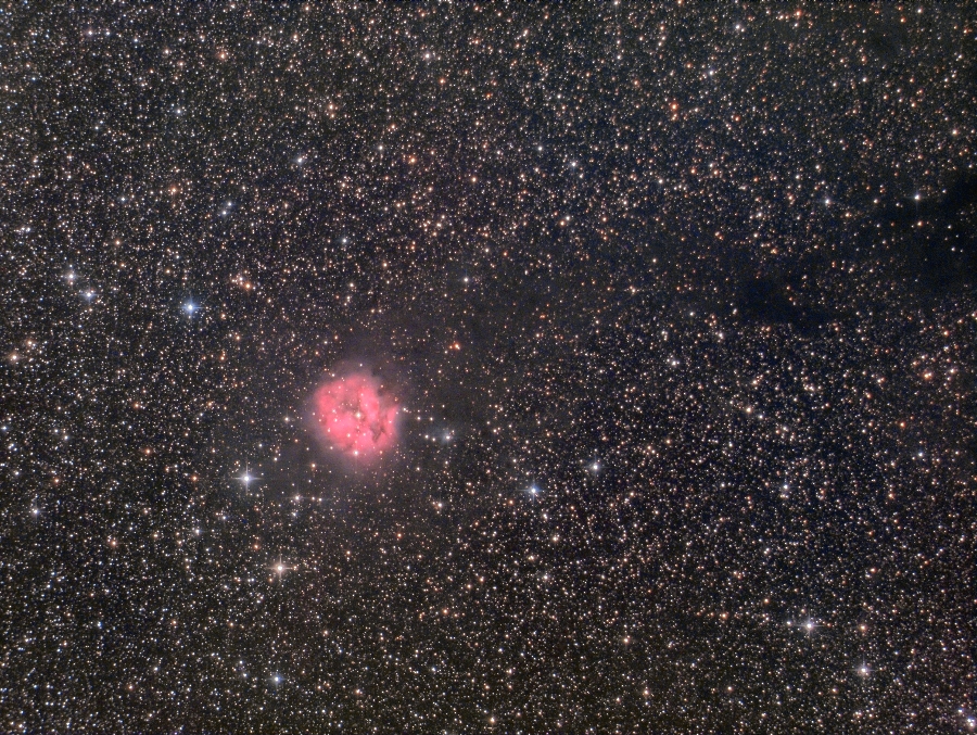 IC5146