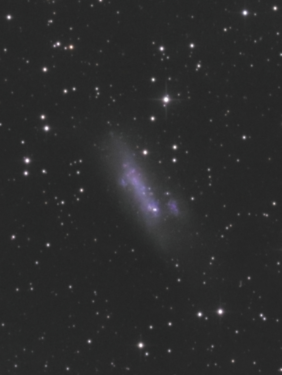 NGC2366