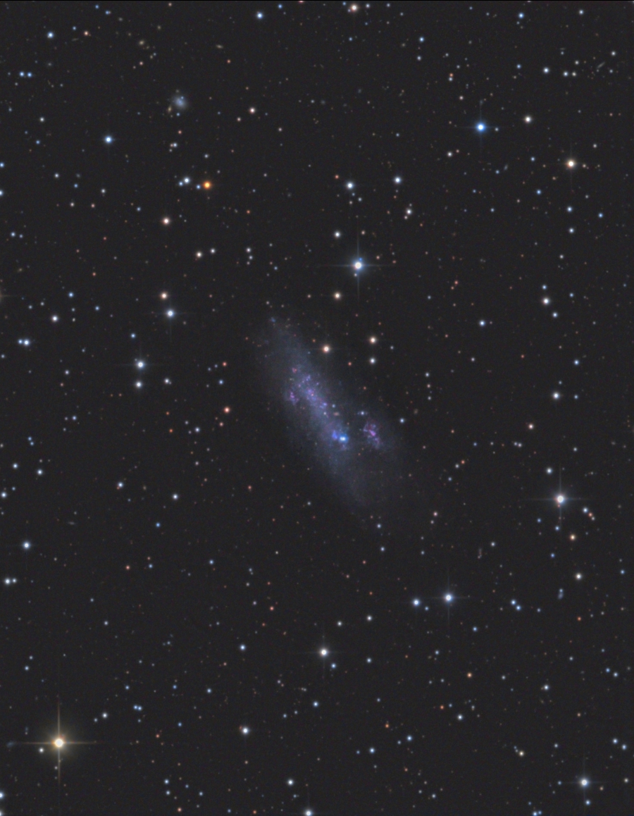 NGC2366