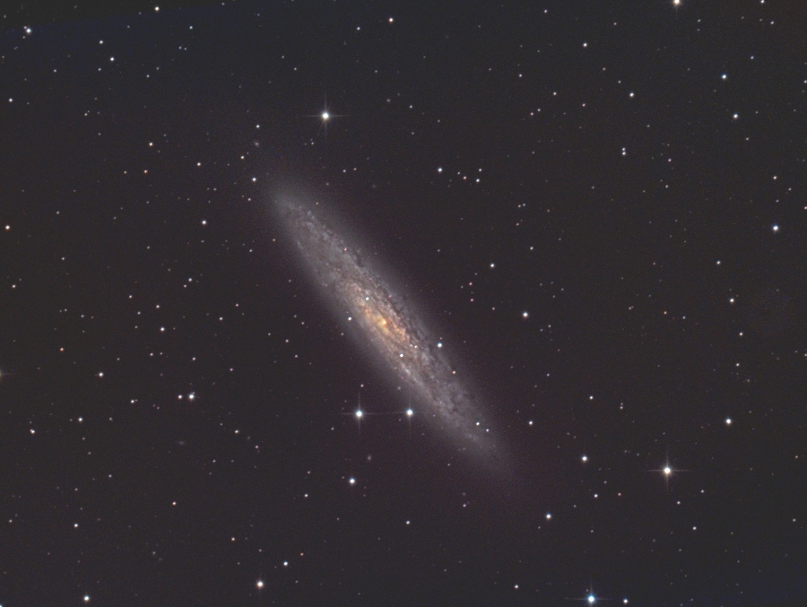 NGC253