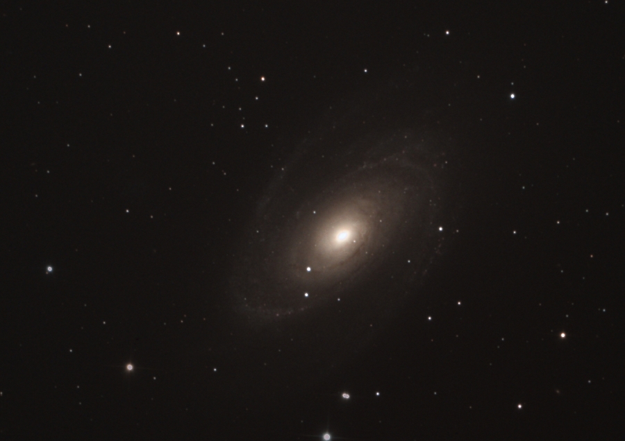 NGC3031(M81)