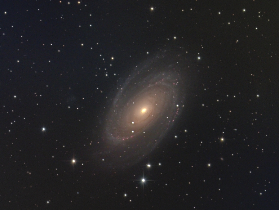 NGC3031(M81)