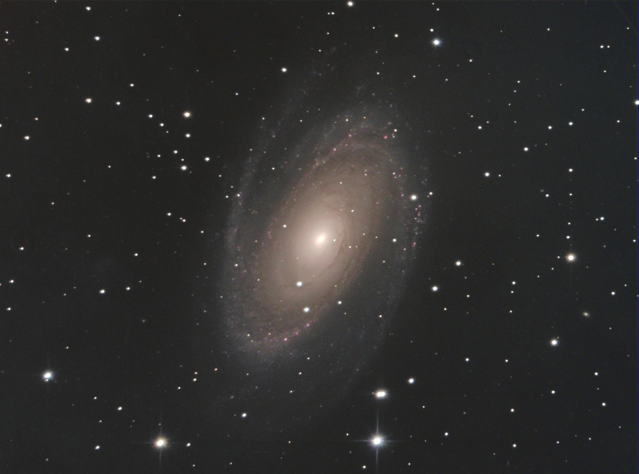 NGC3031(M81)