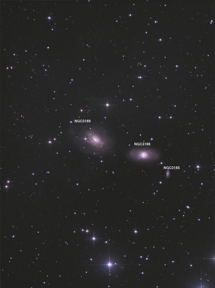 NGC3169 NGC3169