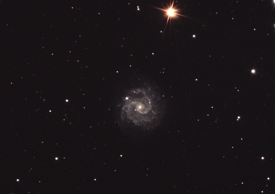 NGC3184