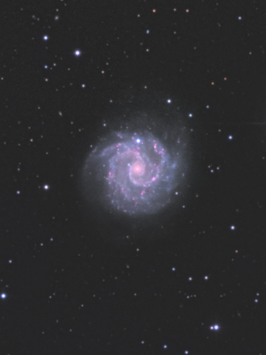 NGC3184