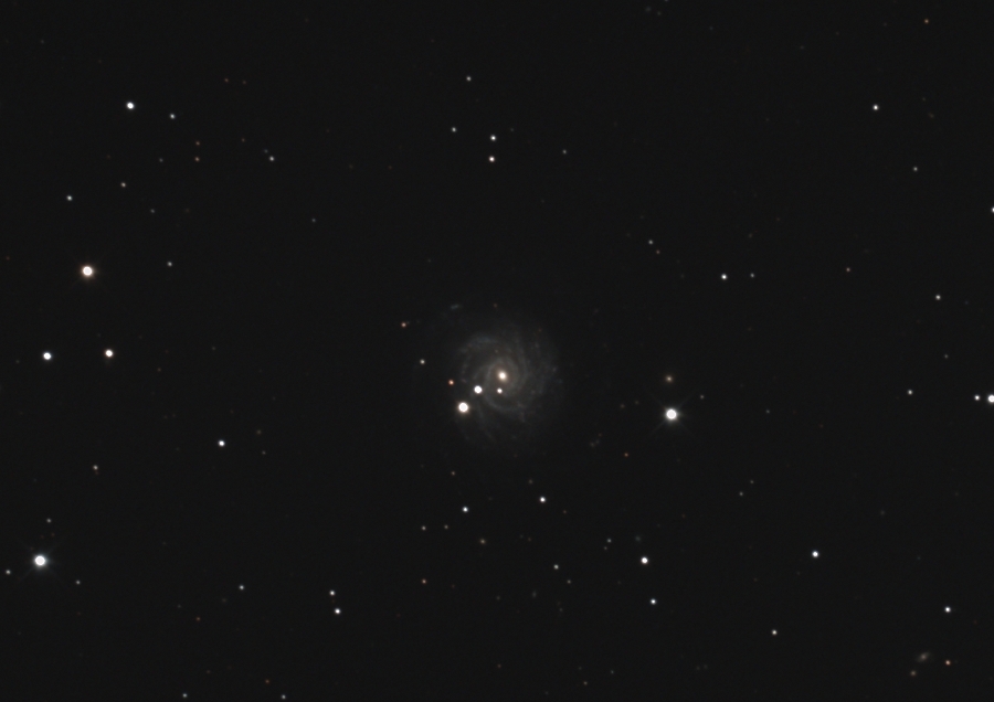 NGC3344