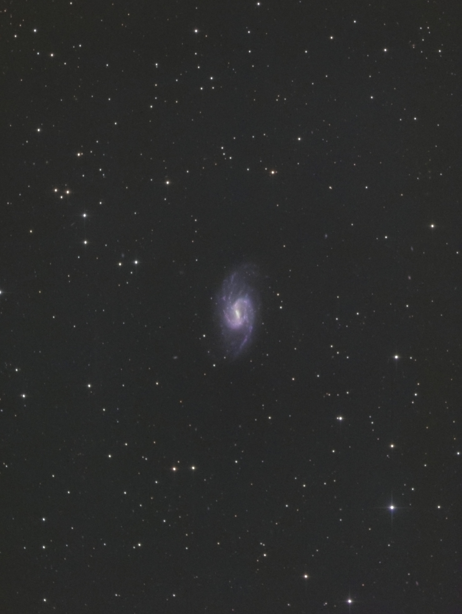 NGC3359