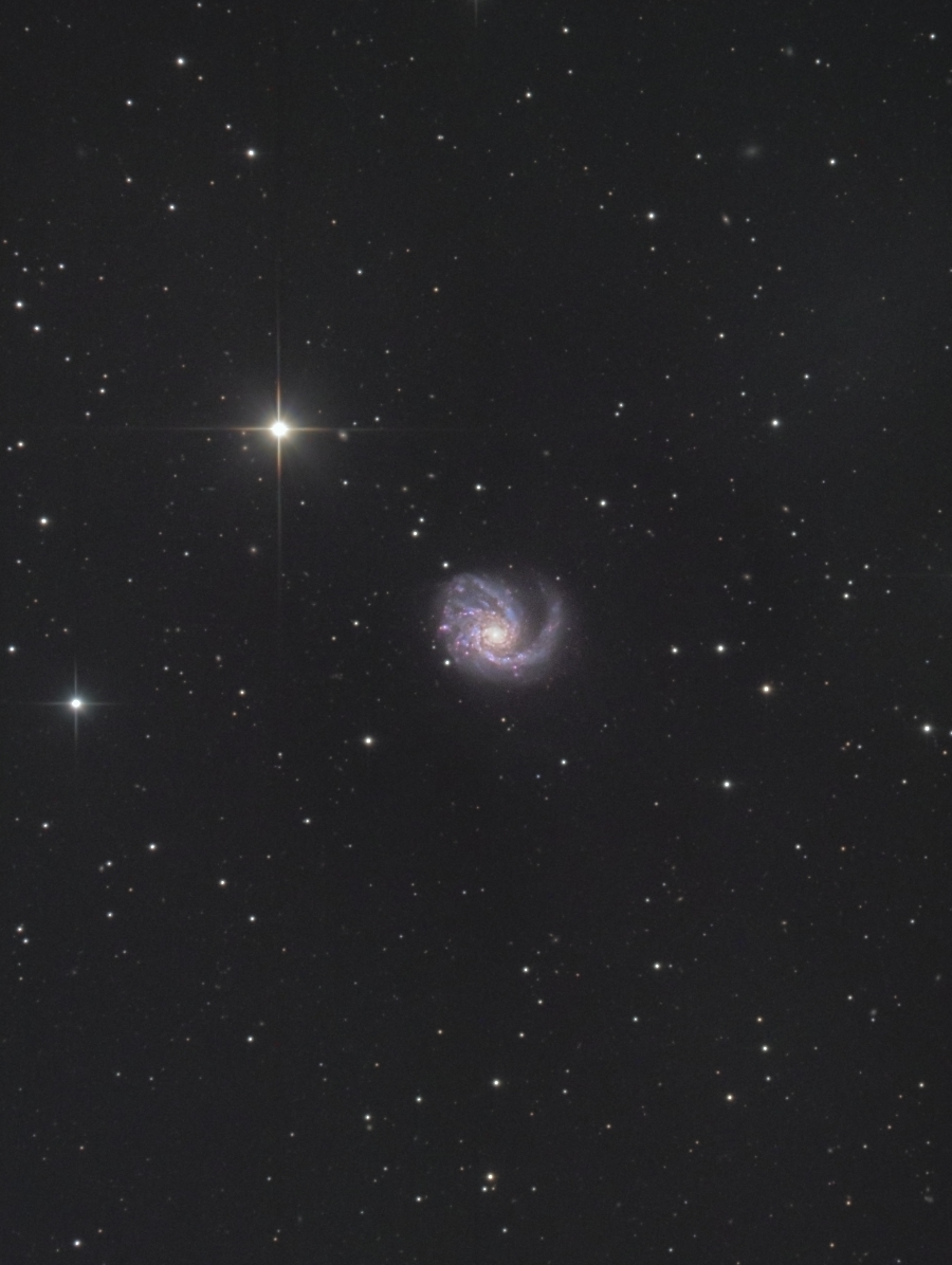 NGC4254