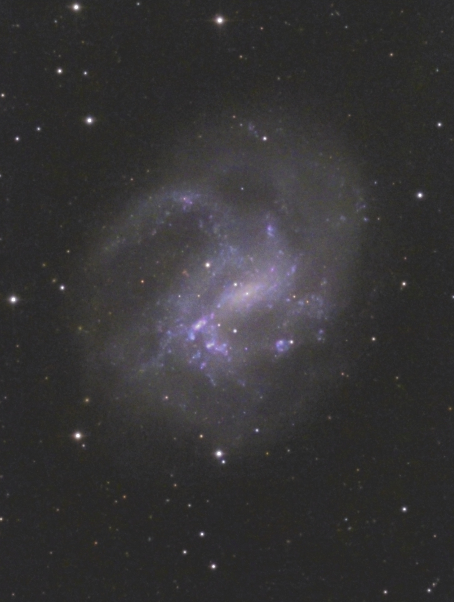 NGC4395