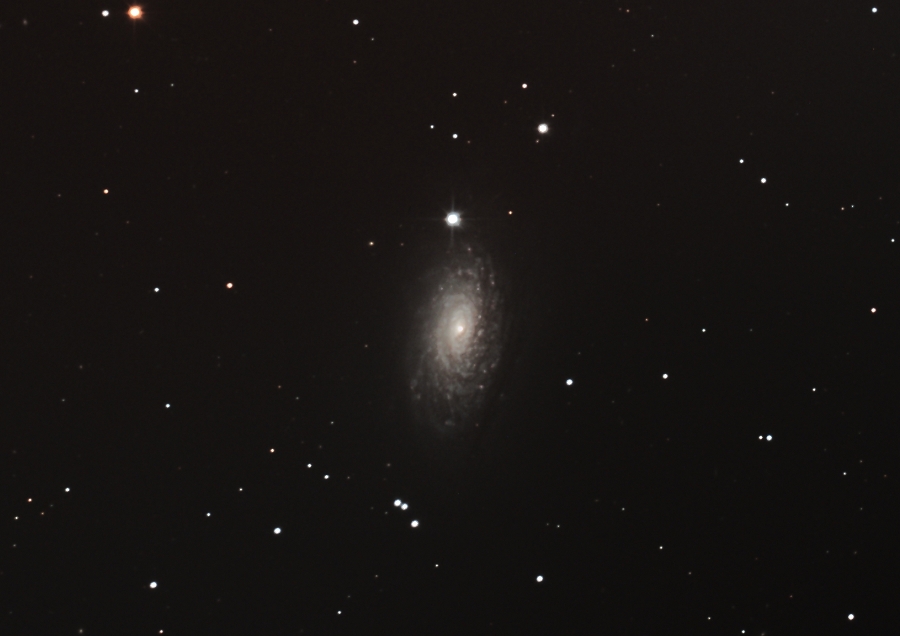 NGC5055