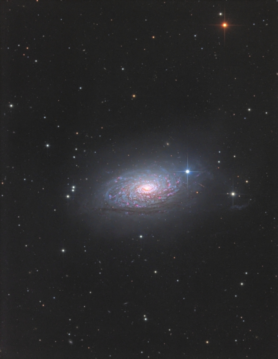 NGC5055