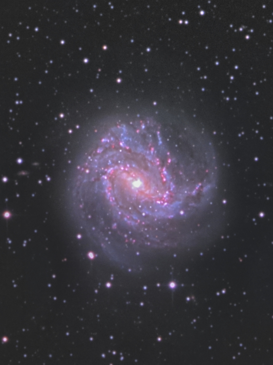 NGC5236_M83