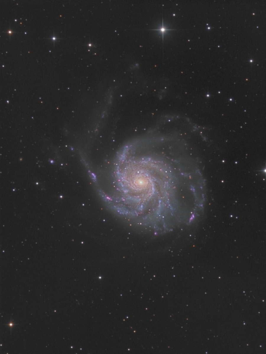 M101(NGC5457)_100%