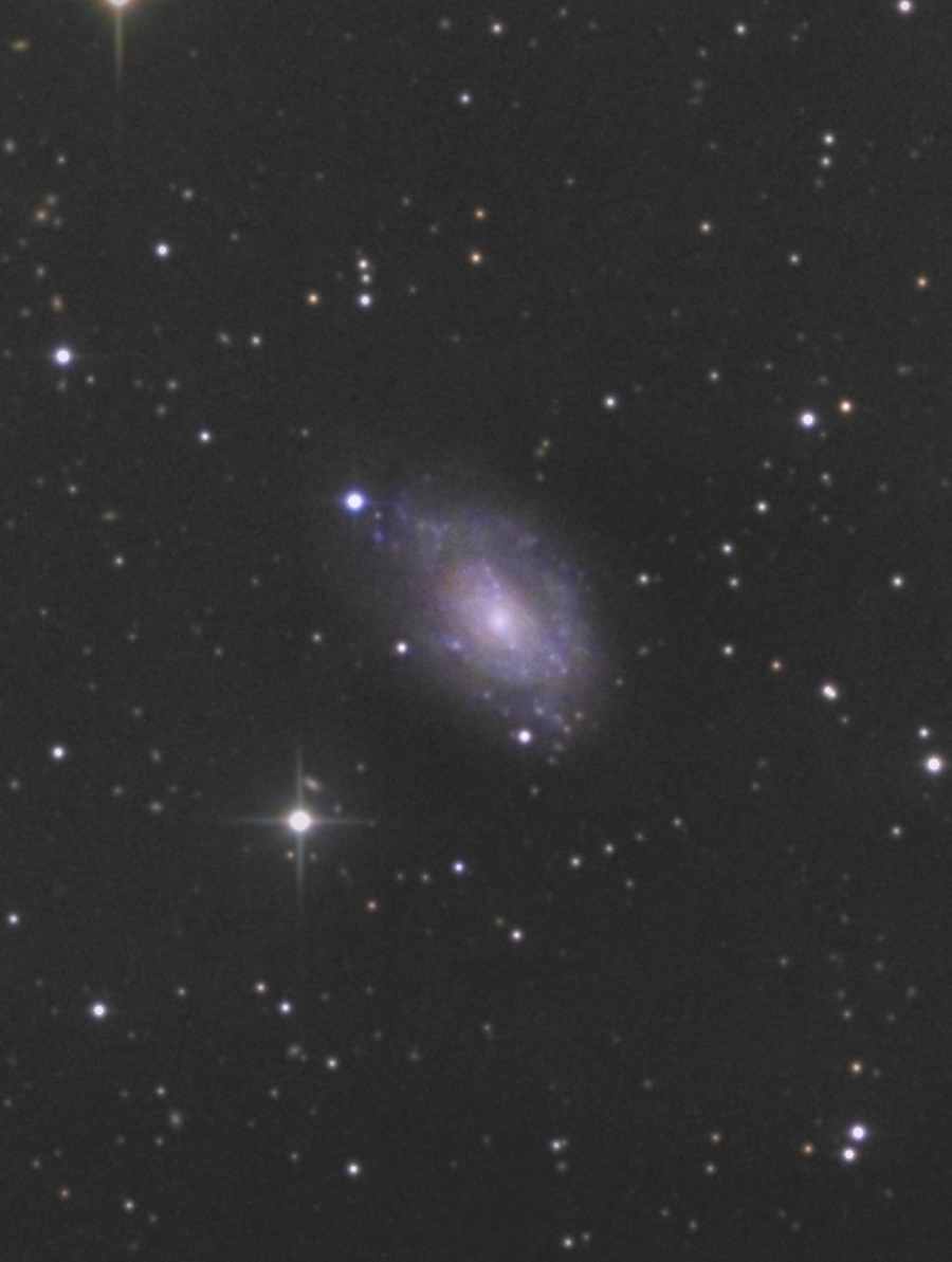 NGC5585