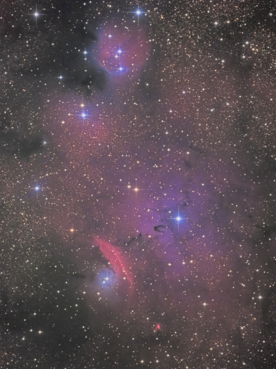 NGC6559