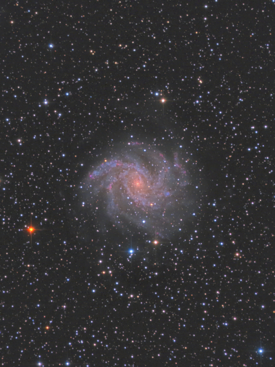 NGC6946