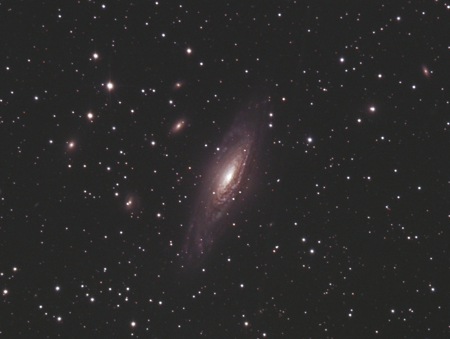NGC7331