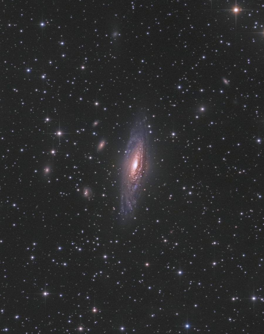 NGC7331