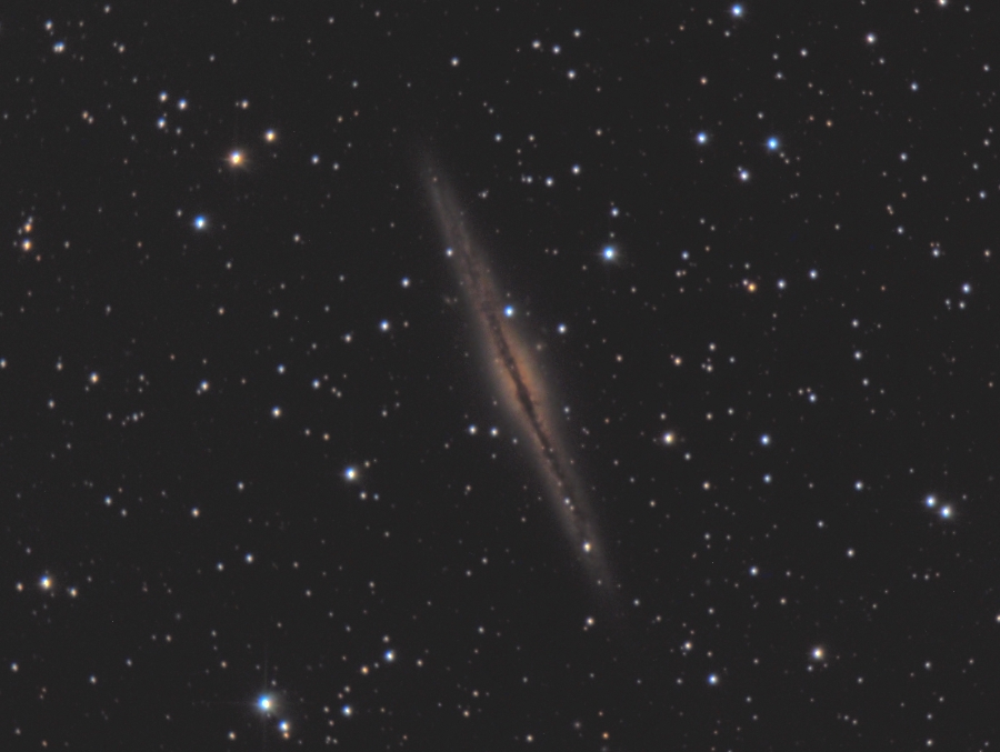 NGC891