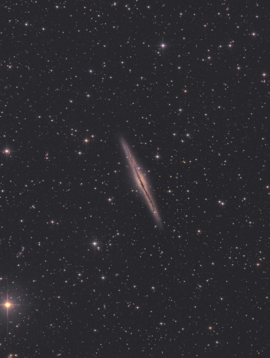 NGC891