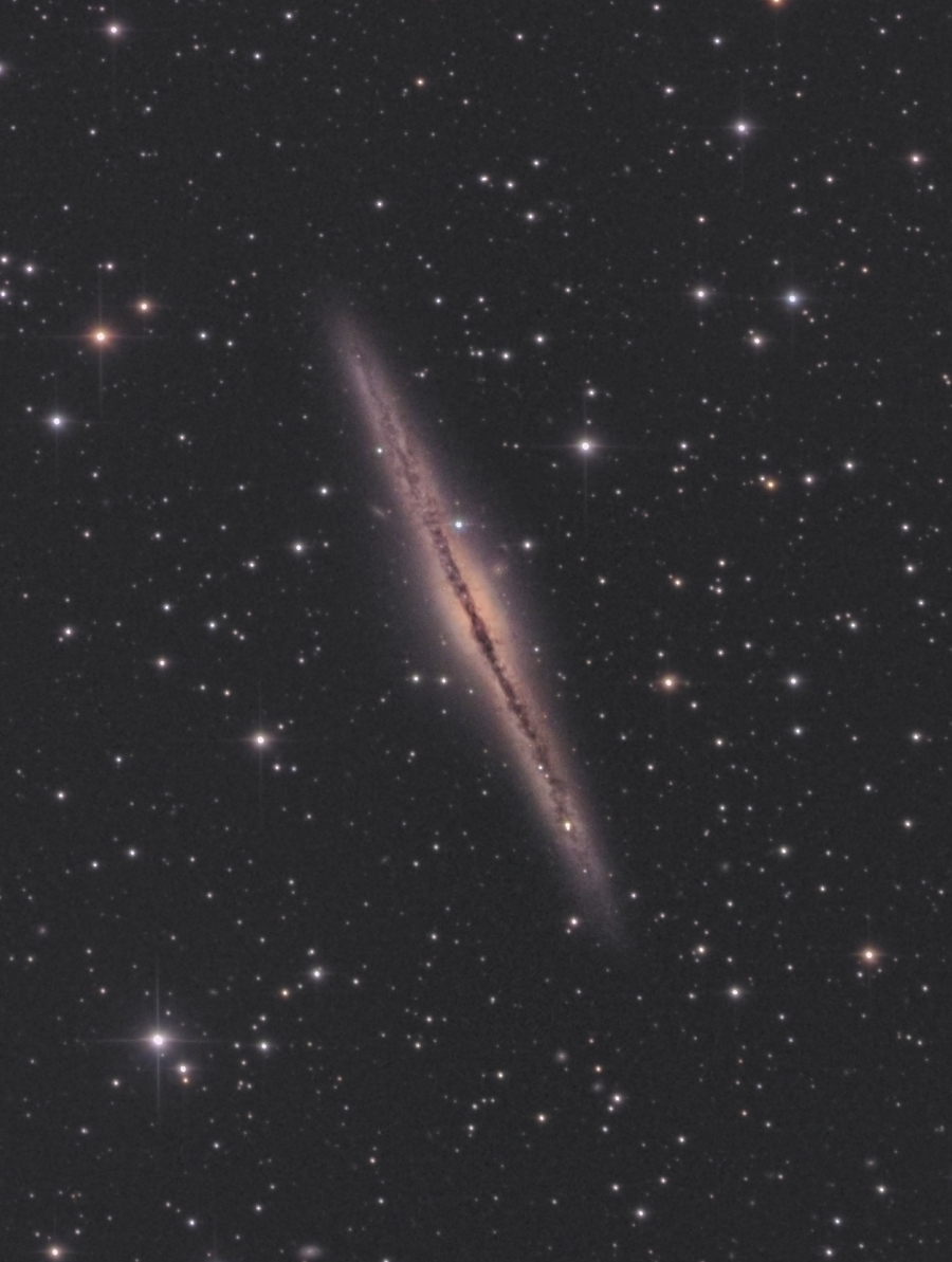 NGC891