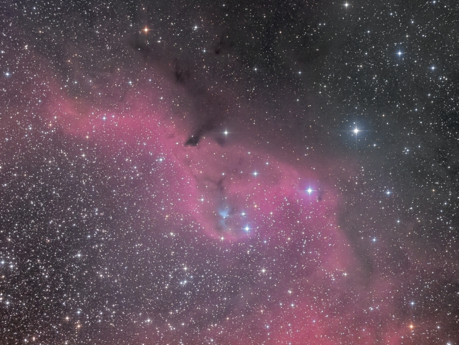 Sh2-264_�G���[���t�B�b�V���̔w�т�