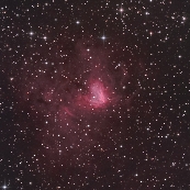 NGC1491