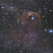 NGC1555t