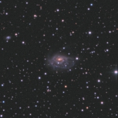 NGC1961