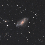 NGC2146