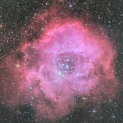 NGC2237