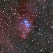 NGC2264
