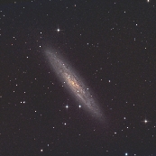 NGC253