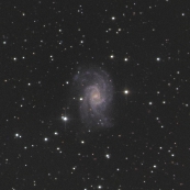 NGC2835