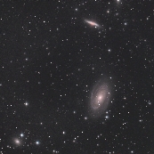 NGC3031(M81)t