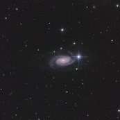 NGC3338