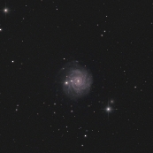 NGC3344