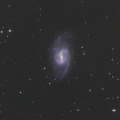 NGC3359
