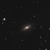 NGC3521