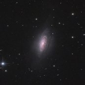 NGC3521