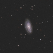 NGC3953
