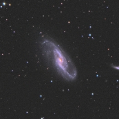 NGC4536