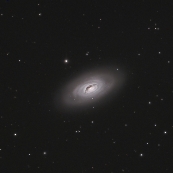 NGC4826(M64)