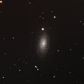 NGC5055(M63)