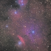 NGC6559�t��