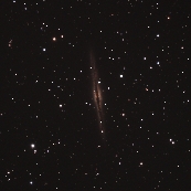 NGC891